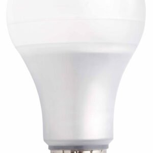 ESFERICA A60-web Bombilla LED A60